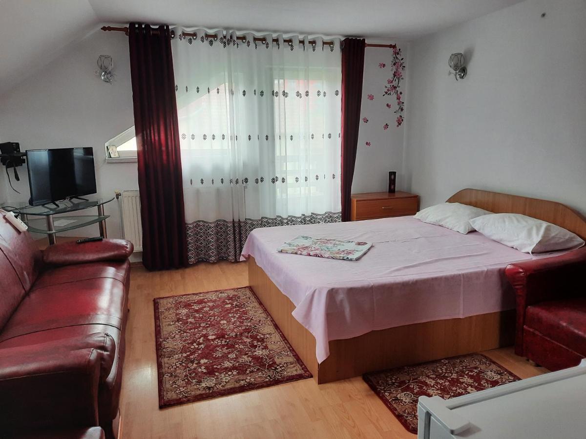 Casa Lica Apartman Căciulata Kültér fotó